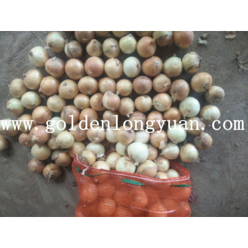 Calidad de Exportación Fresh New Crop Yellow Cebolla